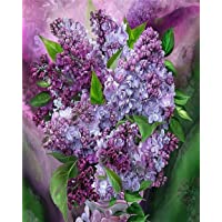 YAXIANXU Pintura por Números Flores Lilas para Adultos Y Niños Principiante para - Se Puede Utilizar como Regalo Y…